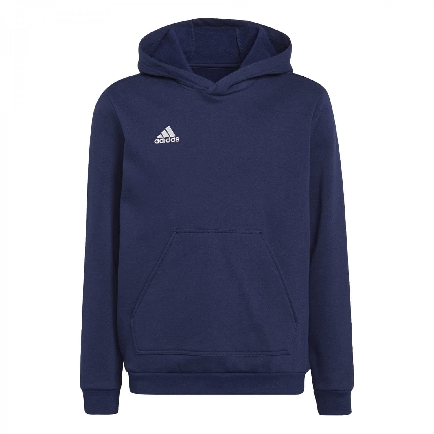 adidas Entrada 22 Sweat Hoodie
