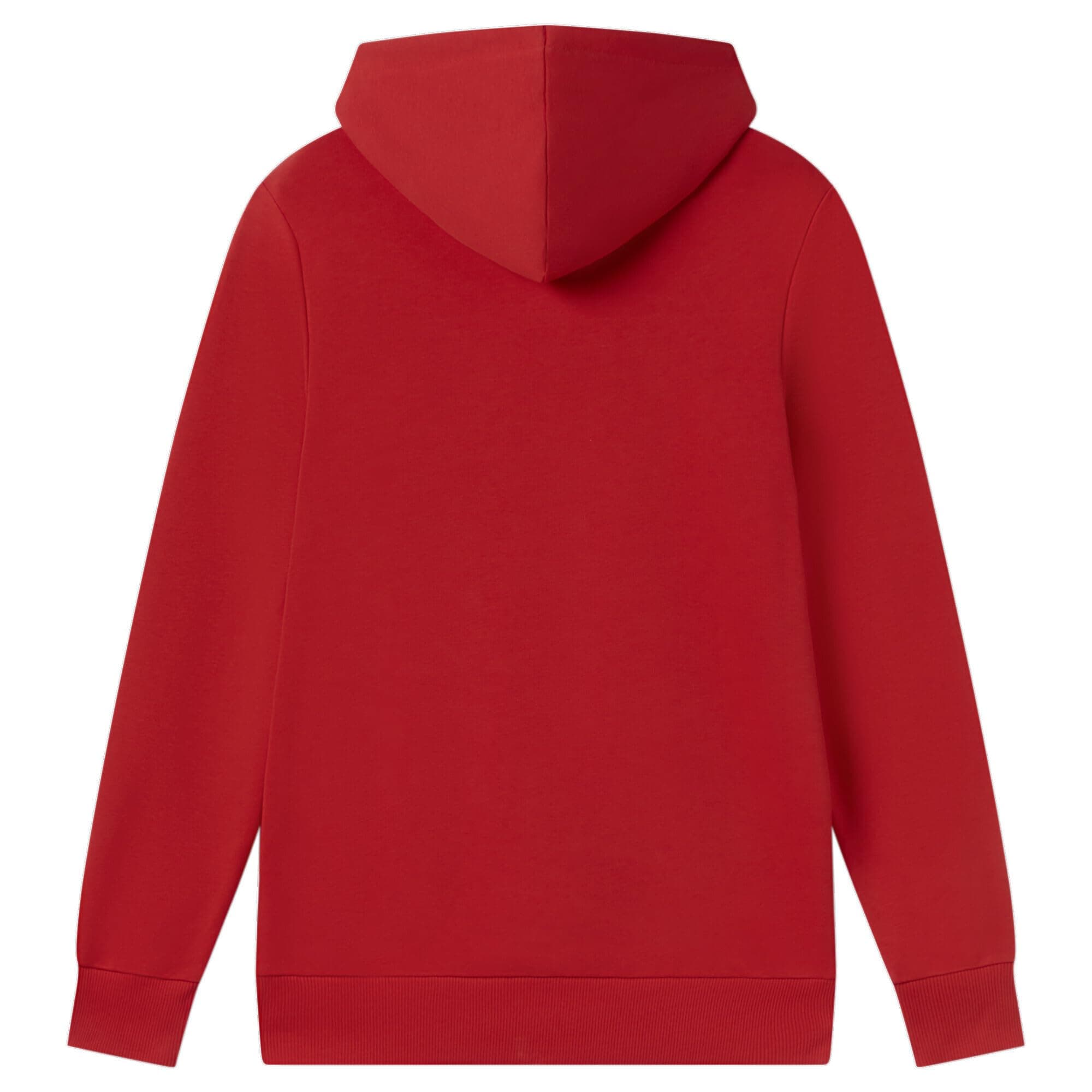PUMA Sudadera con Capucha Girona FC Hombre