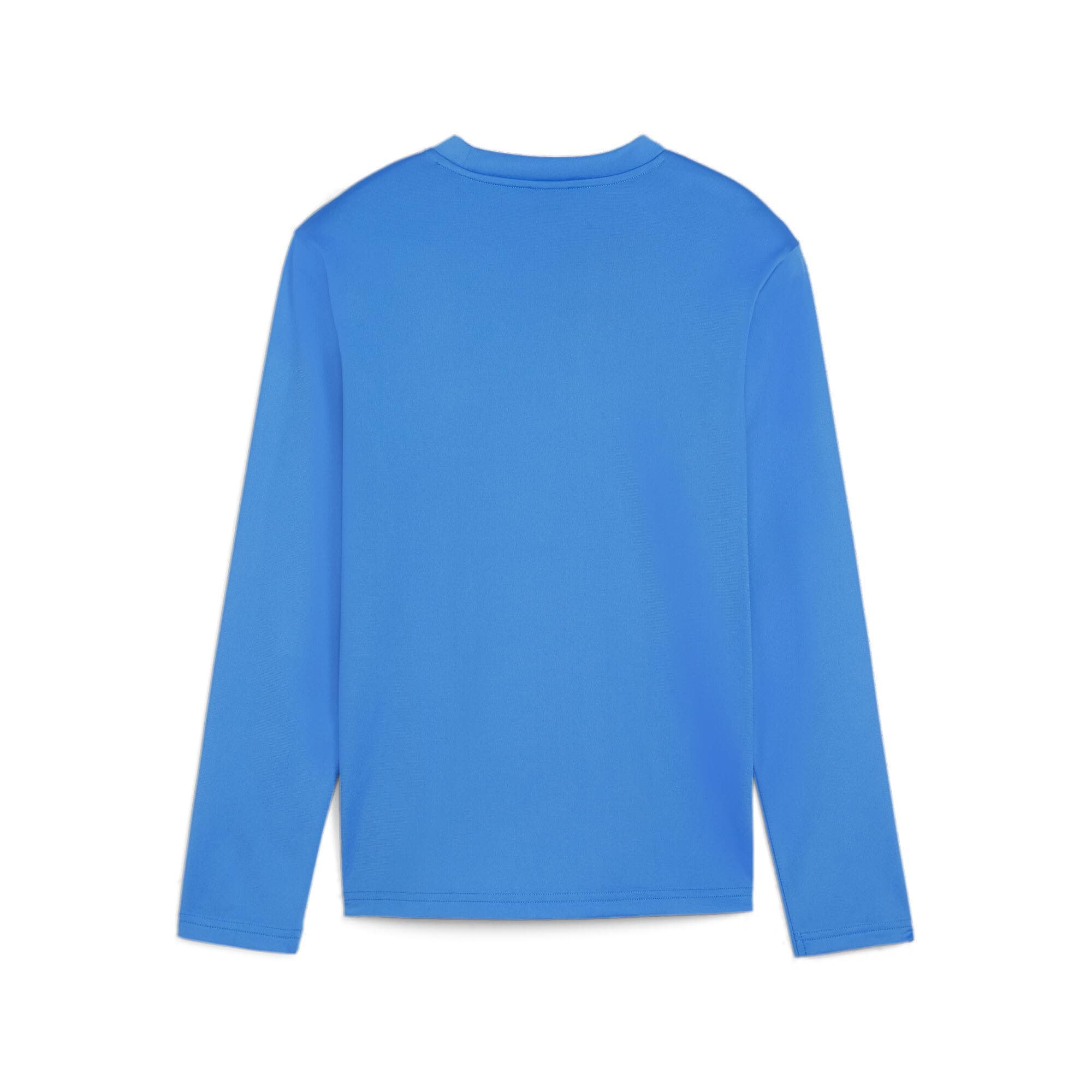 PUMA Teamgoal Training Sweat Jr